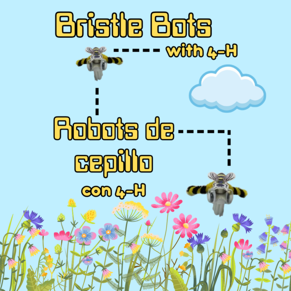 Title card for the Bristle Bots with 4-H/Robots de cepillo con 4-H program. It has graphics of two bee robots flying towards wildflowers.