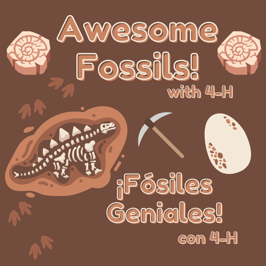 Title card for the Awesome Fossils with 4-H program. It has graphics of dinosaur bones and other fossils along with some excavation tools.